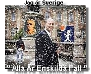 Reinfeldt det enskilda fallet